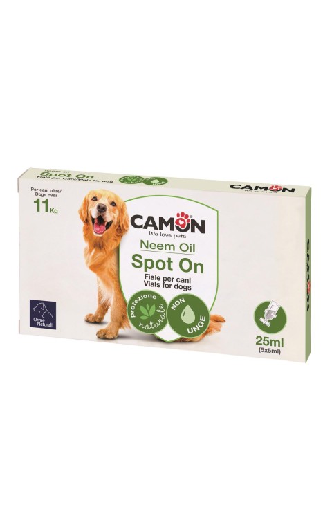 PROTECTION SPOTON CANE  10 5X5