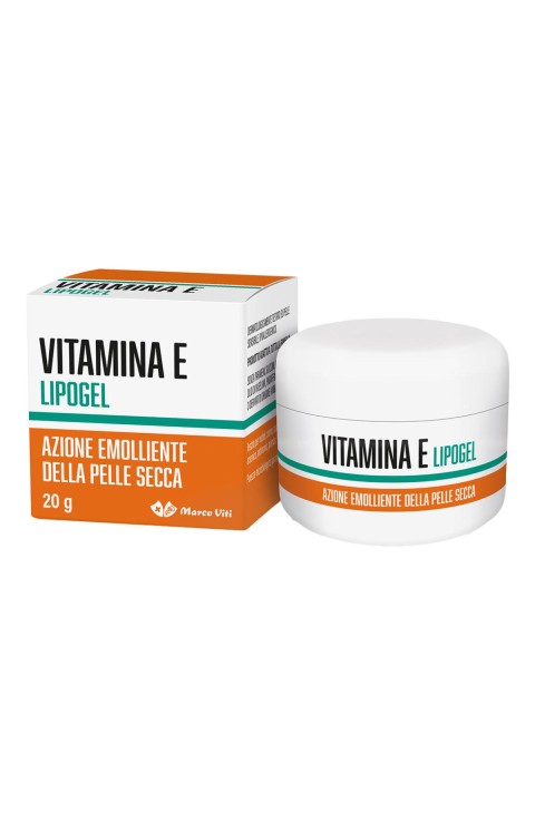VITAMINA & LIPOGEL 20G VITAMINA & LIPOGEL 20G