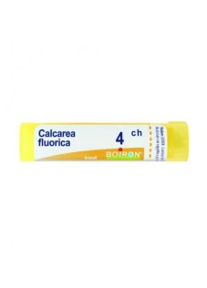 CALCAREA FLUORICA*4CH 80GR 4G