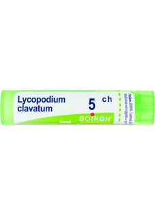 LYCOPODIUM CLAVATUM*5CH 80GR