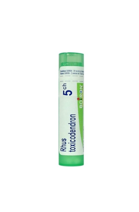 RHUS TOXICODENDRON*5CH 80GR 4G RHUS TOXICODENDRON*5CH 80GR 4G