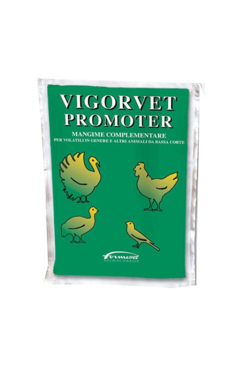 VIGORVET PROMOTER 100G