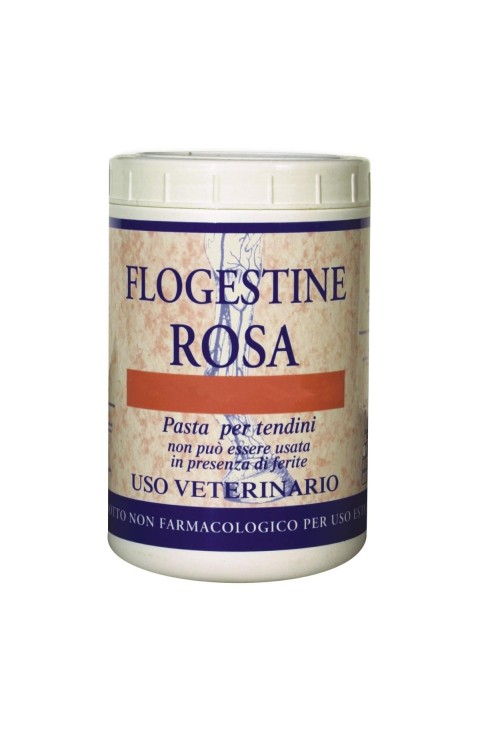 FLOGESTINE ROSA PASTA 1KG