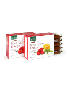 ROSA CANINA ENERGIE BIO 10AB