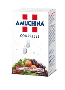 AMUCHINA-24CPR 1G