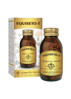 EQUISETO T 90G 180PAST 500MG