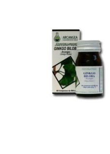 GINKO BILOBA 60CPS 500MG