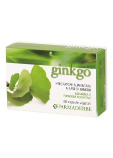 GINKGO BILOBA 60COMPRESSE
