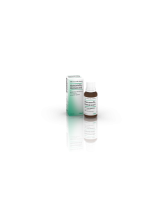 HAMAMELIS-HOMACCORD*OS GTT30ML