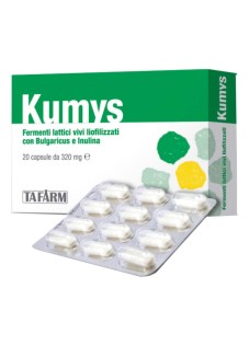 lactobacillus bulgaricus