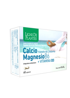 magnesio di origine marina; agente di riempimento: cellulosa microcris