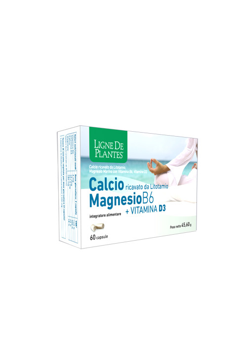 magnesio di origine marina; agente di riempimento: cellulosa microcris