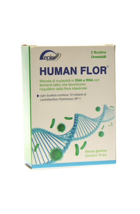 HUMANFLOR 8BUST 12G HUMANFLOR 8BUST 12G