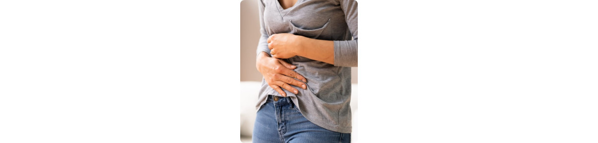 Stomaco e Intestino