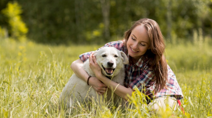 Primavera e parassiti: come proteggere i nostri amici animali 