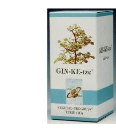 GINKETZE 80TAV 600MG VGP