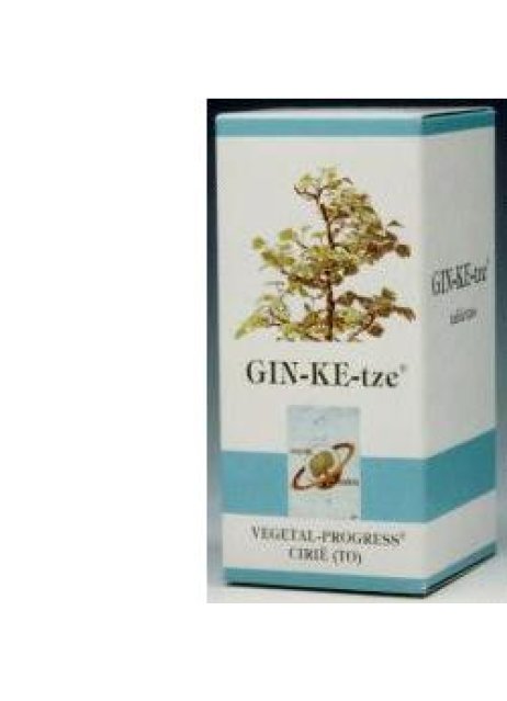 GINKETZE 80TAV 600MG VGP