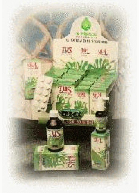 GUARANA 100CPS 430MG ERBEX