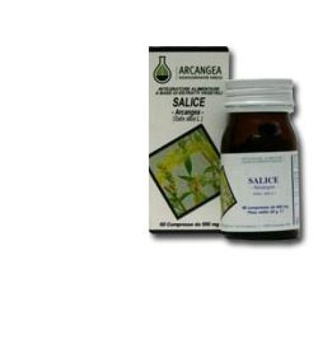 SALICE 60CPS 500MG ARCANGEA