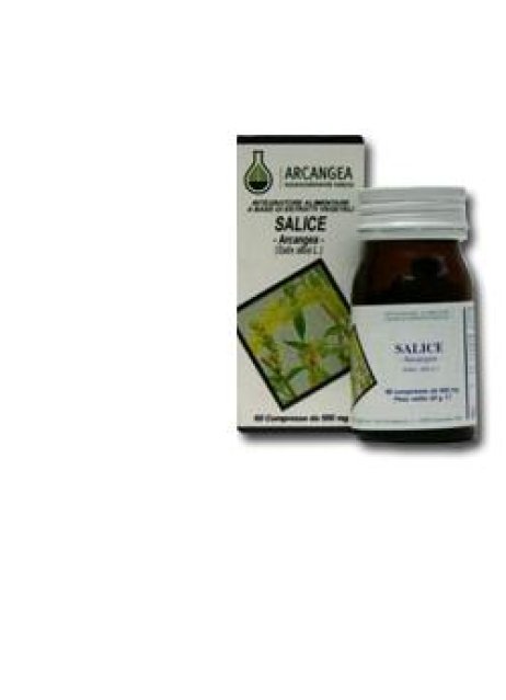 SALICE 60CPS 500MG ARCANGEA