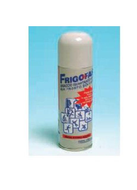 FRIGOFAST GHIACCIO SPR 200ML