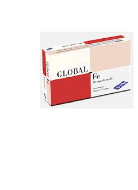 GLOBALFE INTEG 30CPS 16,5G