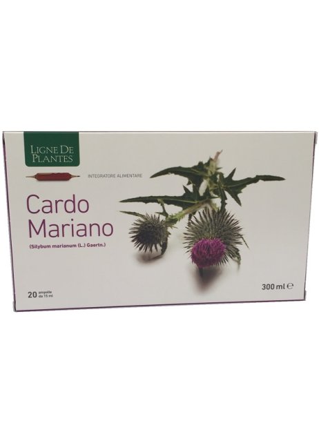 CARDO MARIANO 20AB 15ML