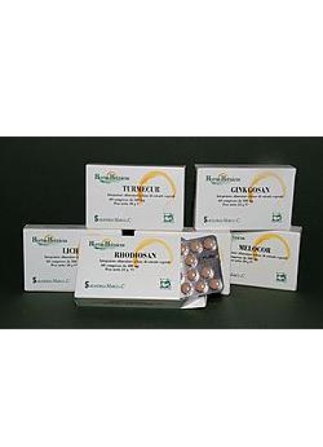 RHODIOSAN 60CPR 400MG