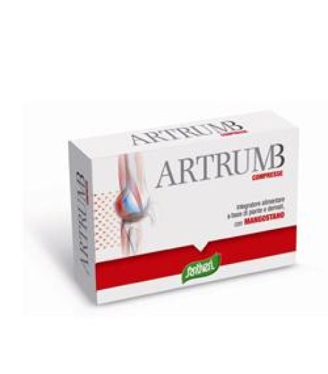 ARTRUM B C/MANGOST 48CPR 31G