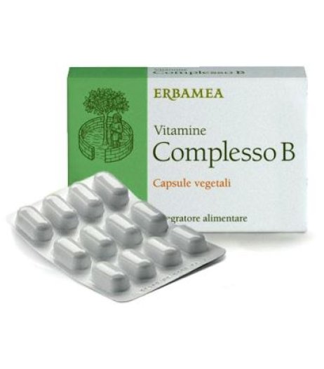 VITAMINE COMPLES B 24CPS VEG