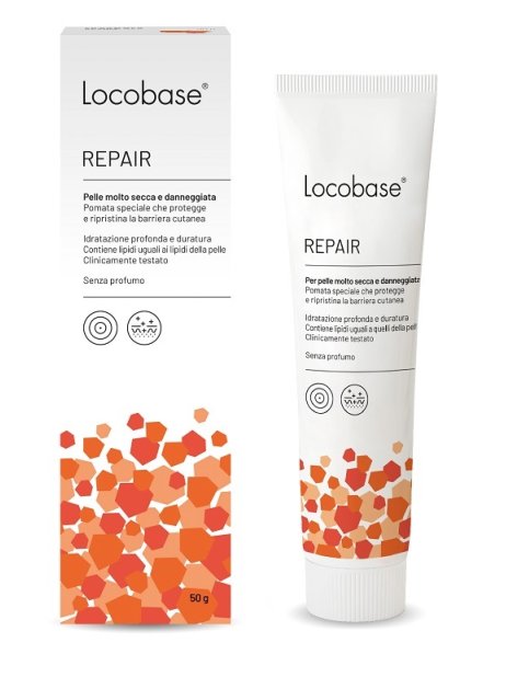 LOCOBASE-REPAIR 100G