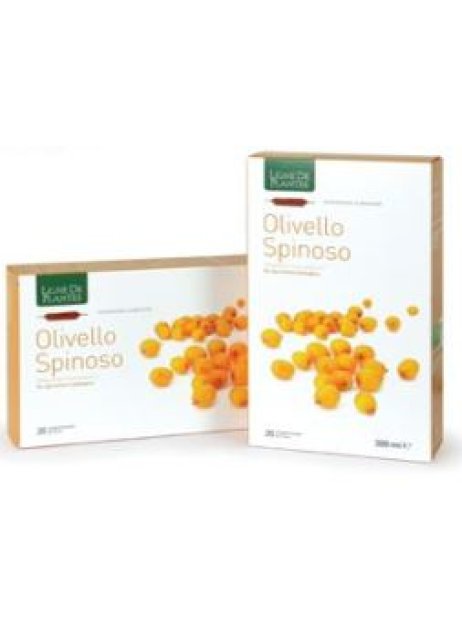 OLIVELLO SPINOSO BIO 20AB