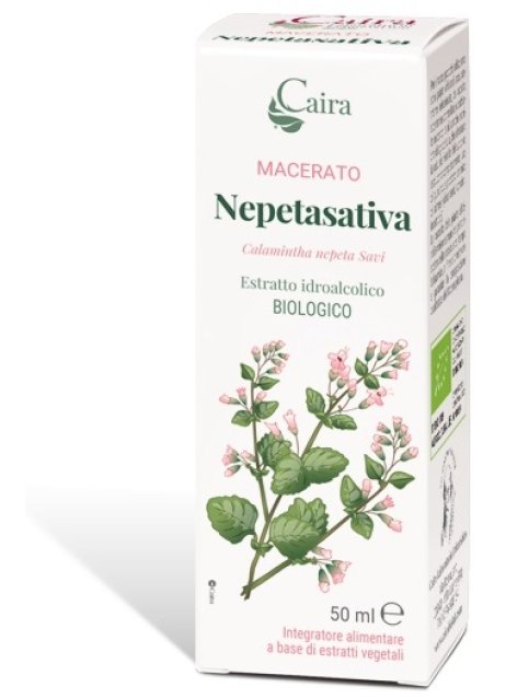 NEPETASATIVA MACERATO CAIRA