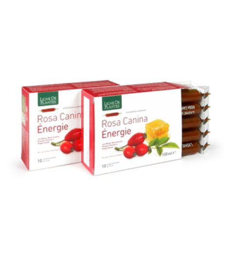 ROSA CANINA ENERGIE BIO 10AB