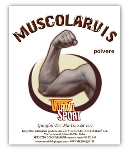 MUSCOLARVIS VITAMINSPORT 500G