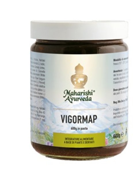 VIGORMAP PASTA 600G