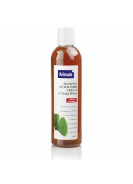 SHAMPOO PREV CAD GINKGO BILOBA