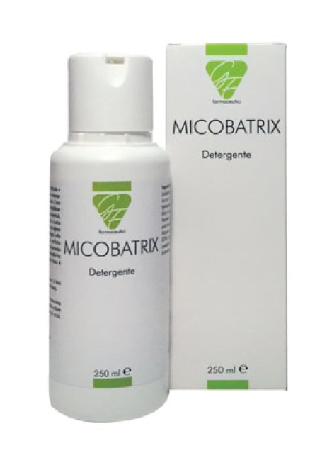 MICOBATRIX DETERGENTE 250ML