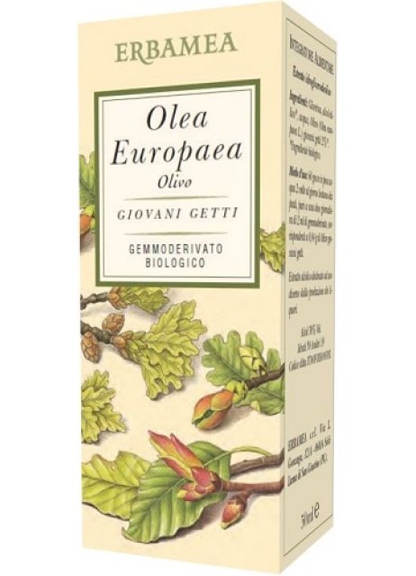 OLEA EUROPEA OLIVO 50ML