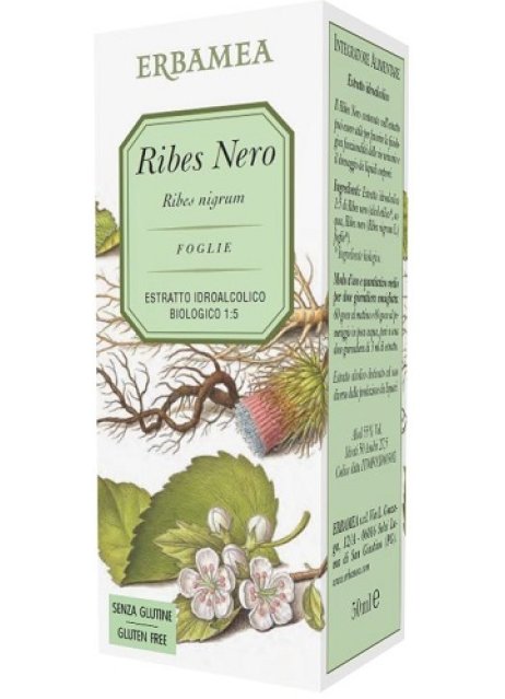 RIBES NERO 50ML ERBAMEA