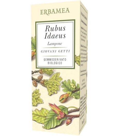 RUBUS IDAEUS LAMPONE 50ML