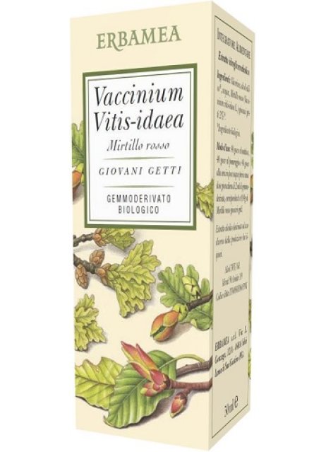 VACCINIUM VITIS IDAEA M R 50ML