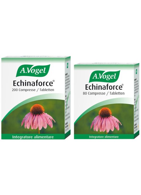 ECHINAFORCE 80CPR VOGEL