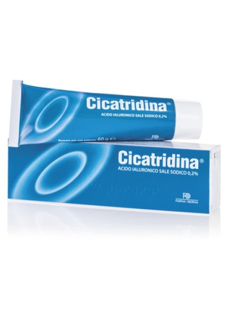 CICATRIDINA-POMATA 60G