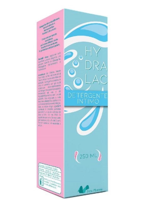 HYDRALAC DETERGENTE INT 250ML