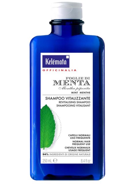 SHAMPOO MENTA 250ML