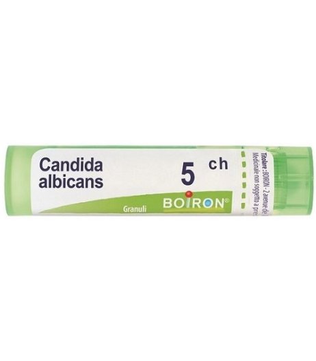 CANDIDA ALBICAN 5CH GR BO