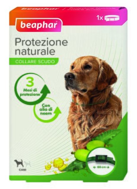 PROTEZIONE NAT COLLARE CANE GR