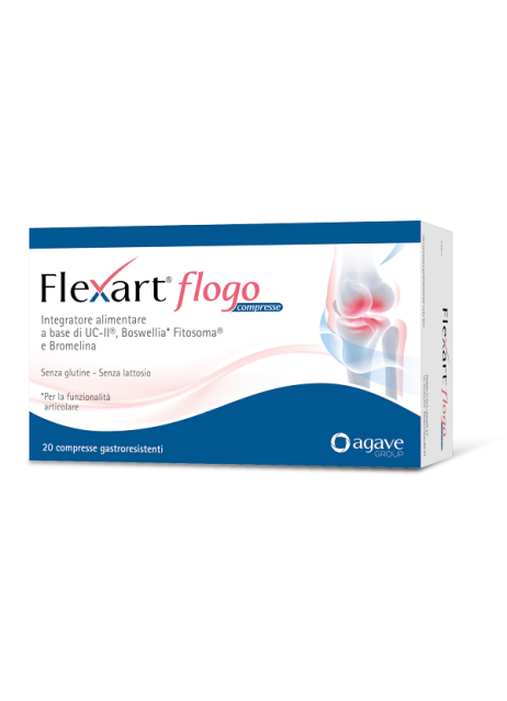 FLEXART Flogo 20 Cpr