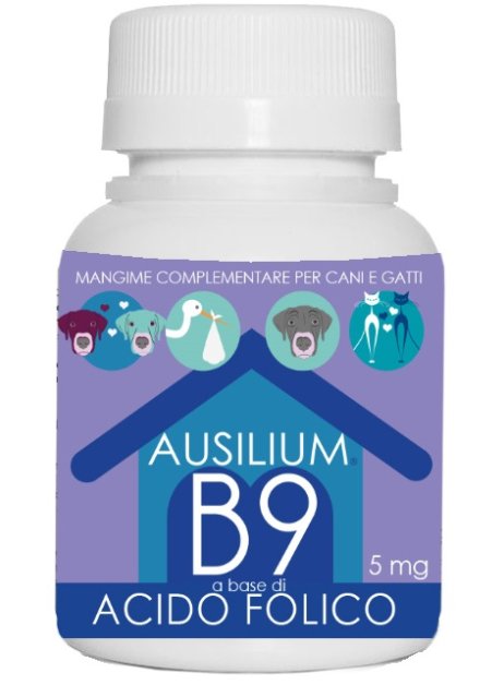 AUSILIUM B9 ACIDO FOLIC 100G VET